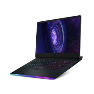 MSI GE66 Raider 10SFS Laptop